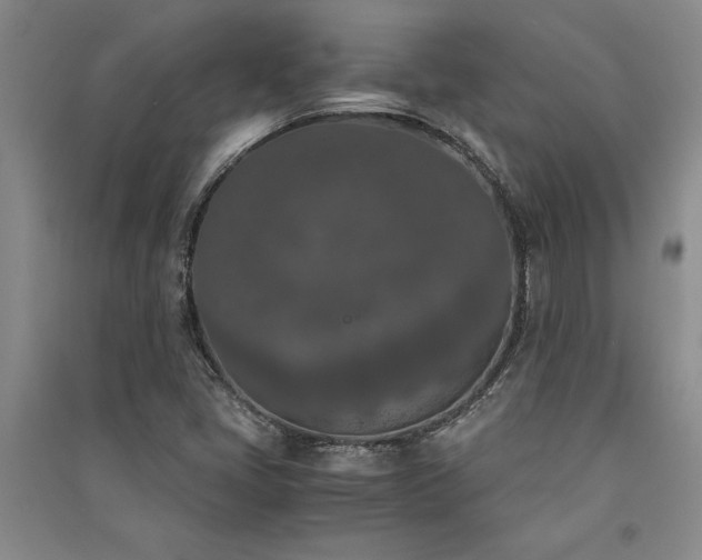 X0000091521405200708171207