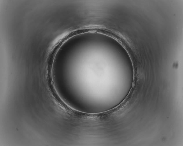 X0000091521406200708171207