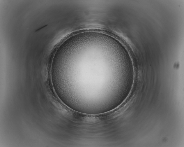 X0000091521407200708171207
