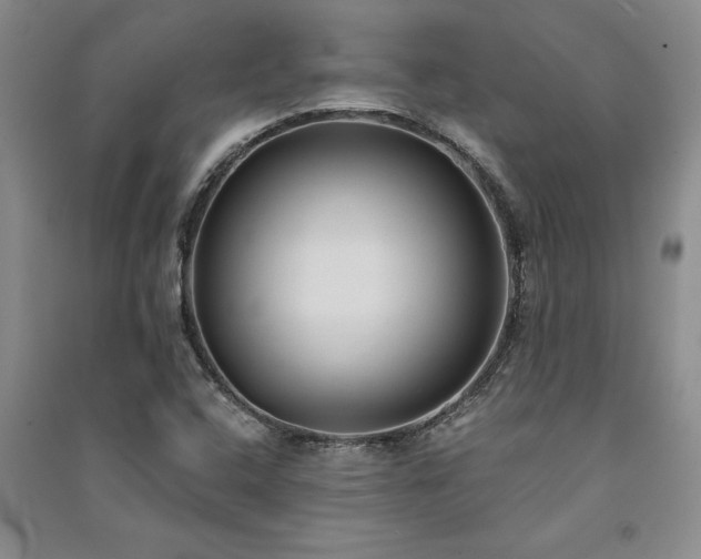 X0000091521408200708171207