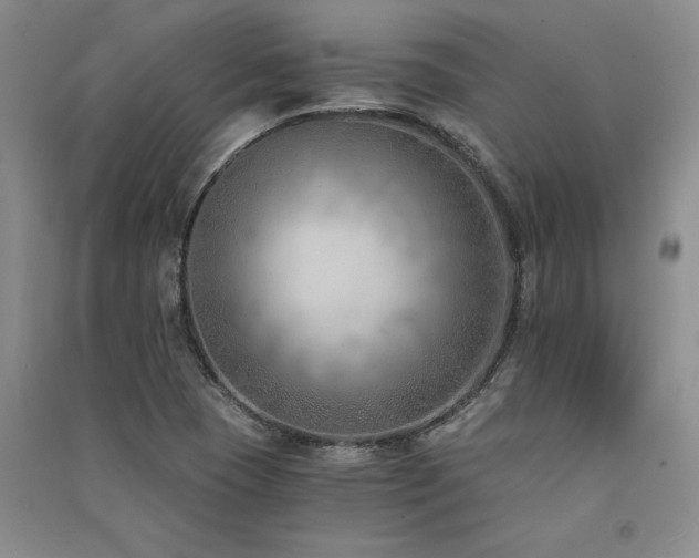 X0000091521409200708171207