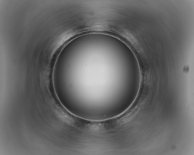X0000091521410200708171207