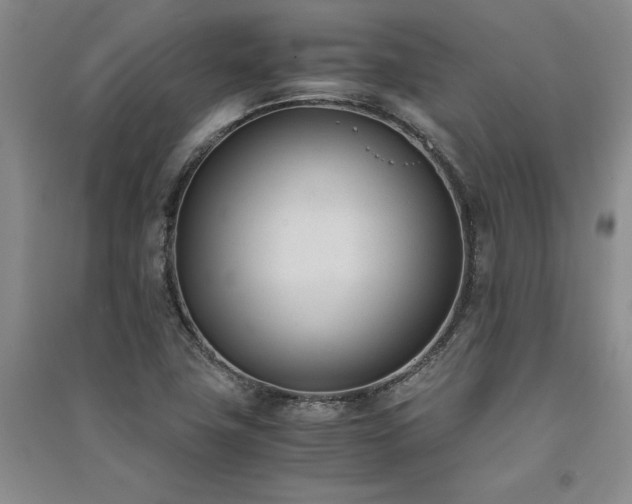 X0000091521411200708171207