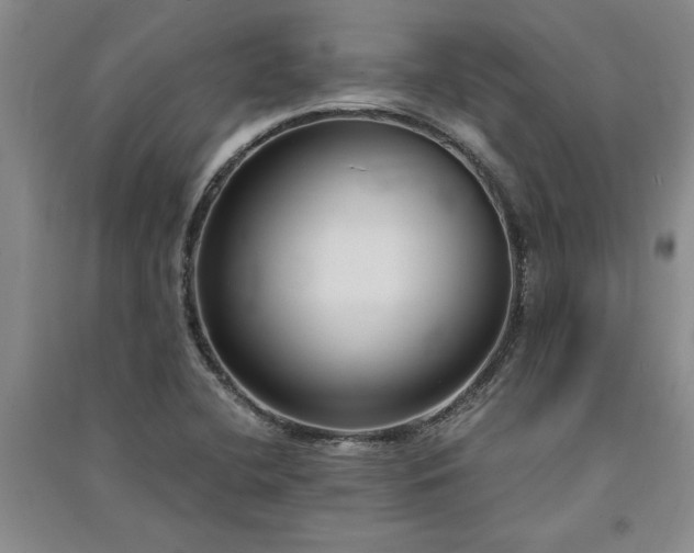 X0000091521412200708171207