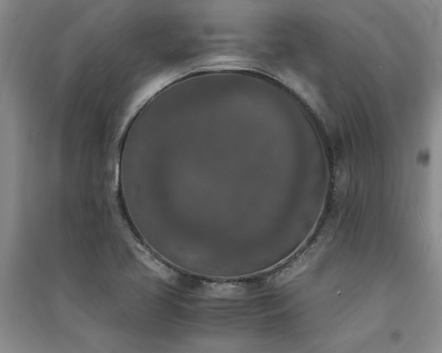 X0000091521413200708171207