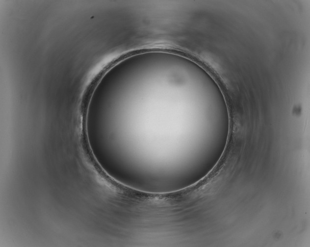 X0000091521414200708171207