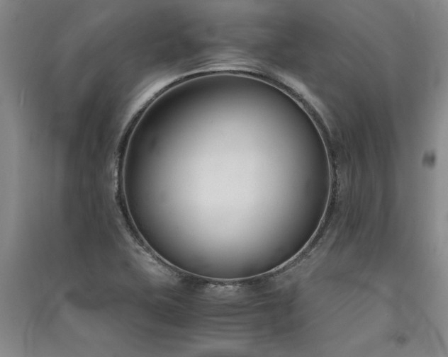 X0000091521415200708171207