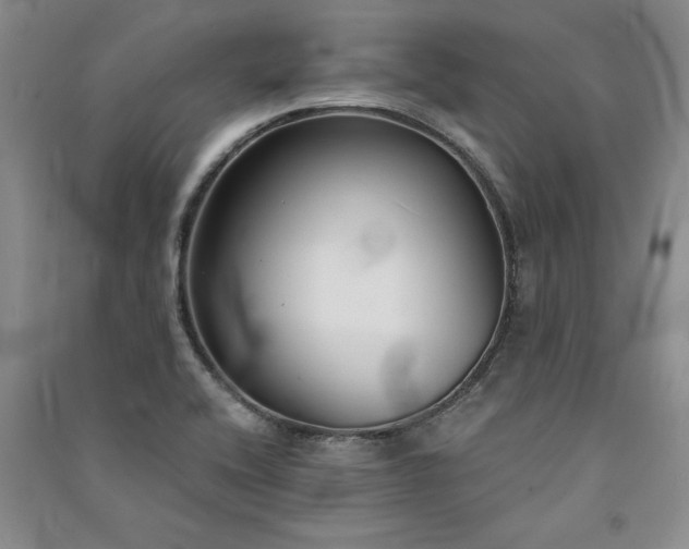 X0000091521416200708171207