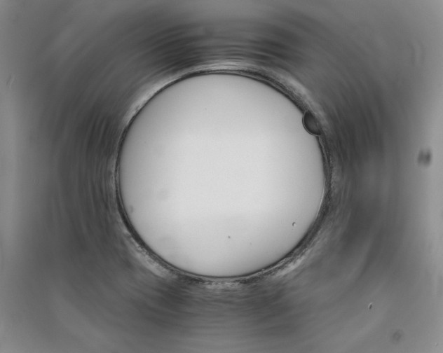 X0000091521417200708171207