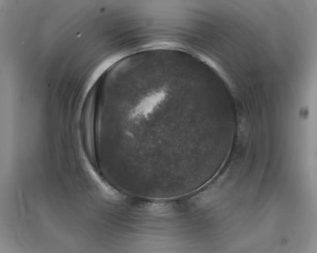 X0000091521418200708171207