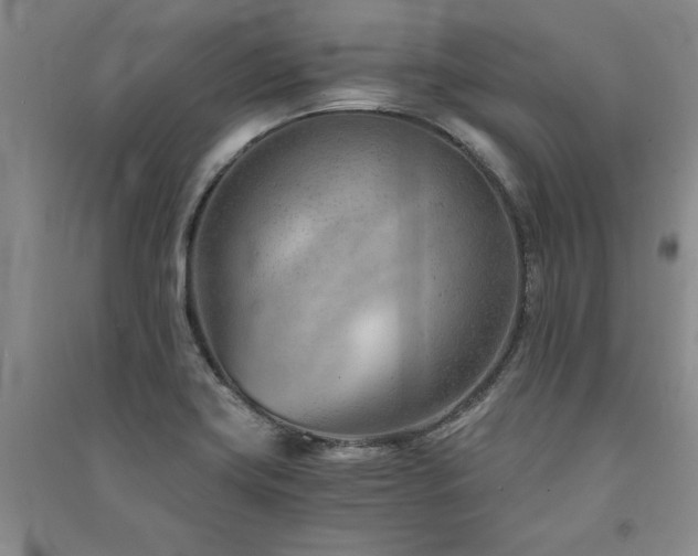 X0000091521419200708171207