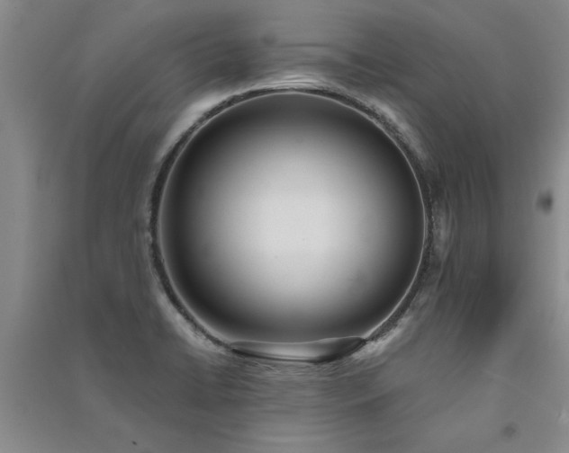 X0000091521422200708171207
