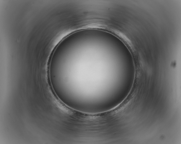 X0000091521423200708171207