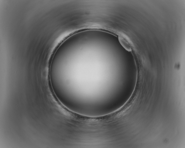 X0000091521424200708171207