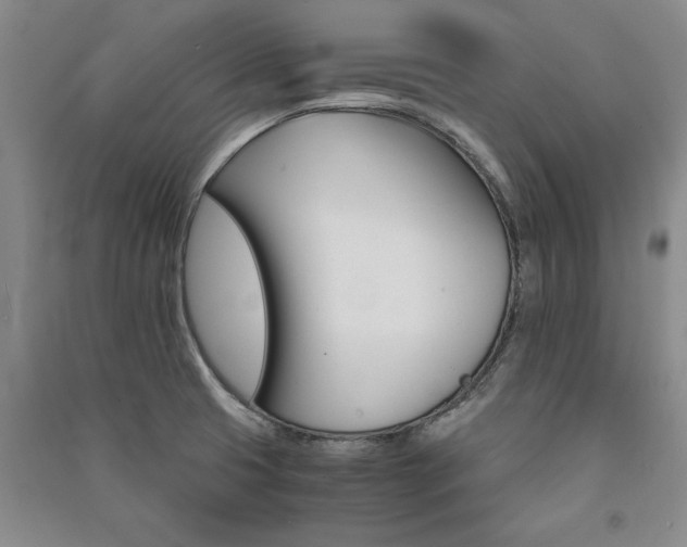 X0000091521425200708171207