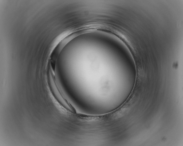 X0000091521426200708171207