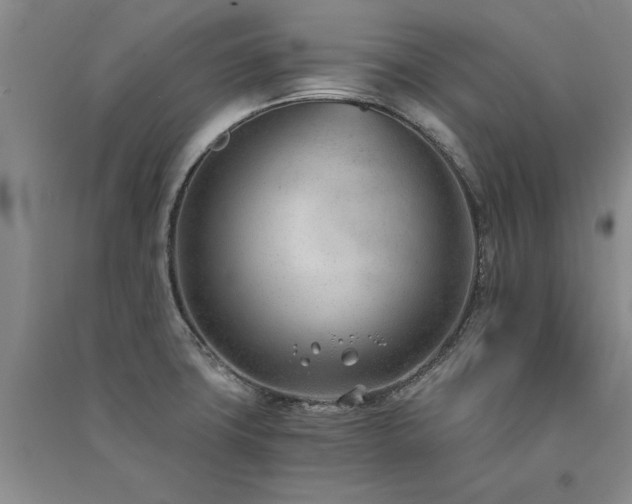 X0000091521427200708171207