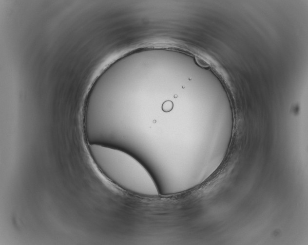 X0000091521429200708171207