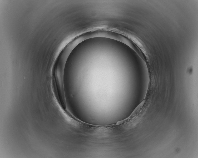 X0000091521430200708171207