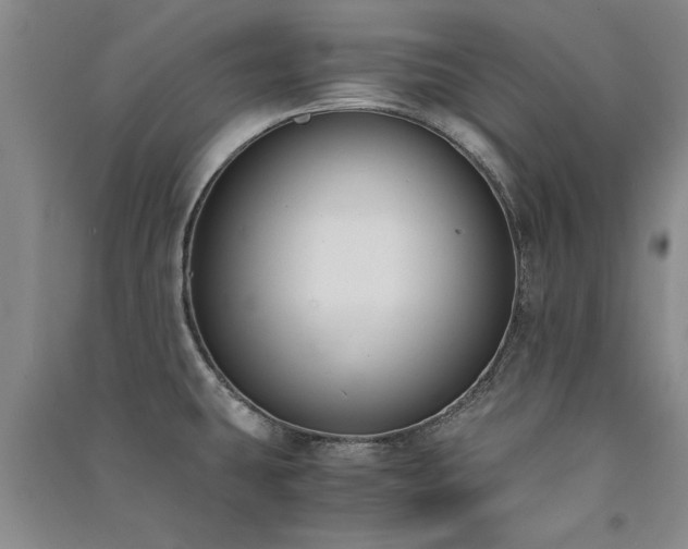 X0000091521431200708171207