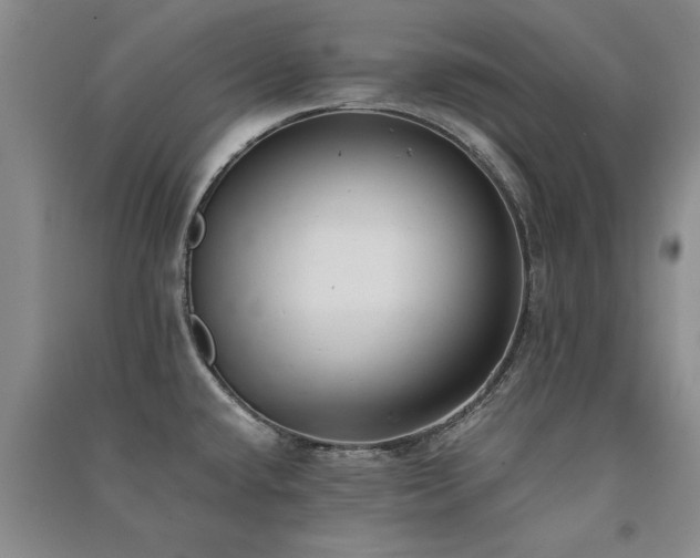 X0000091521432200708171207