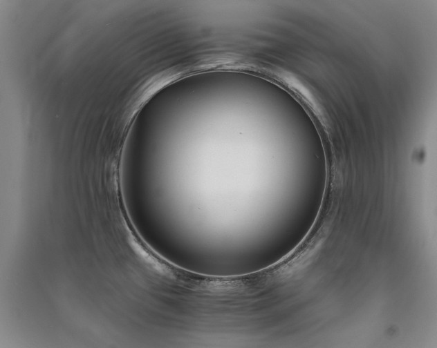 X0000091521433200708171207