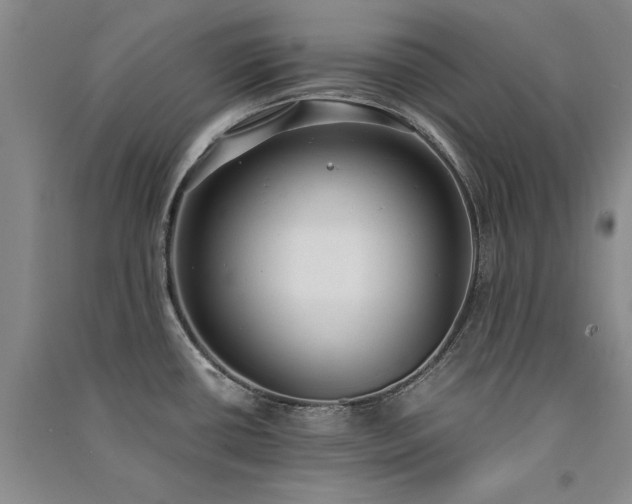 X0000091521434200708171207