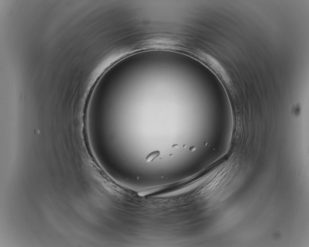 X0000091521435200708171207