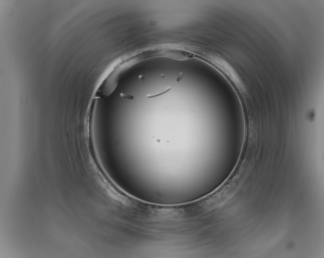 X0000091521436200708171207