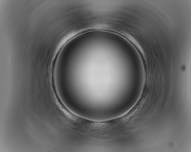 X0000091521437200708171207