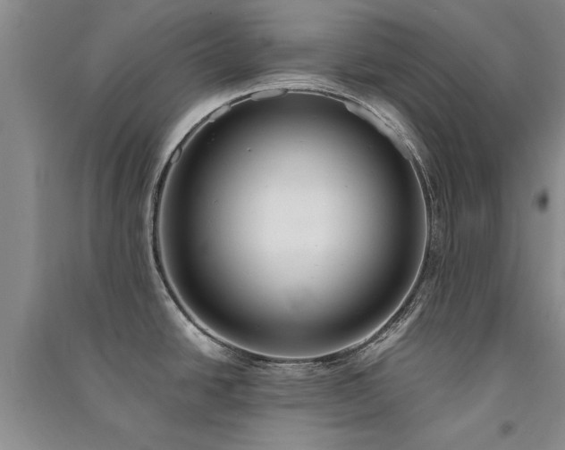 X0000091521438200708171207