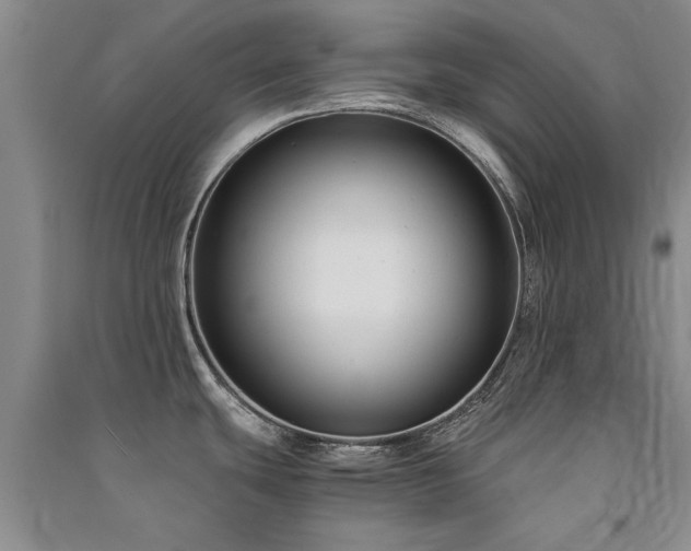 X0000091521439200708171207