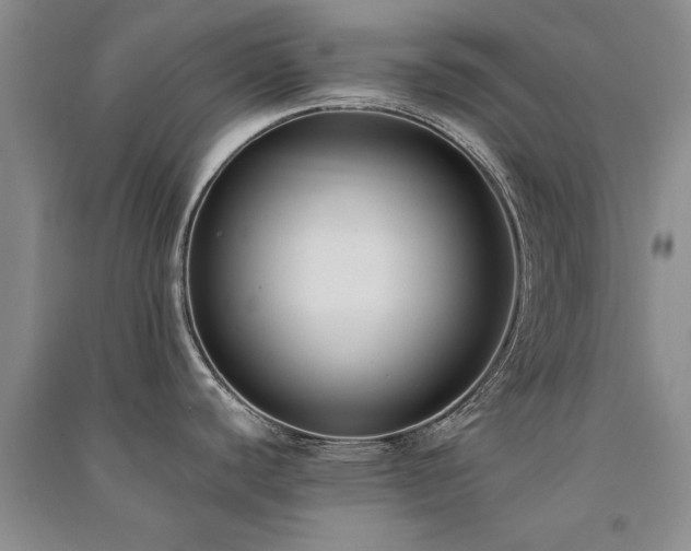 X0000091521440200708171207