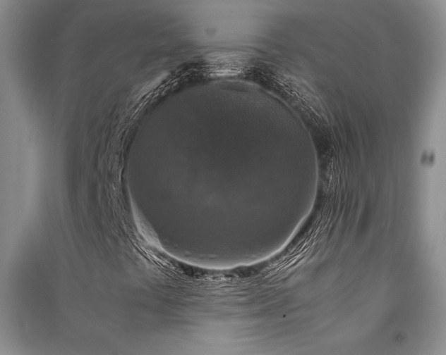 X0000091521441200708171207