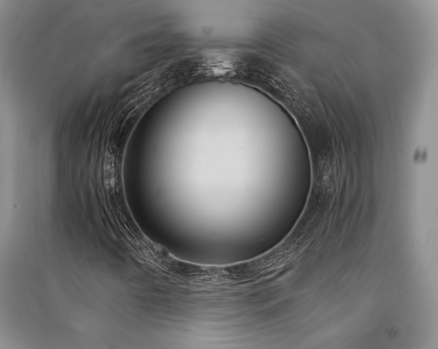 X0000091521442200708171206