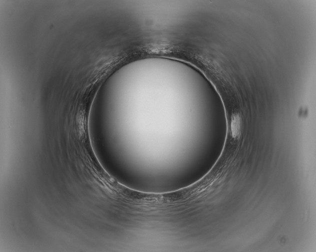 X0000091521444200708171206