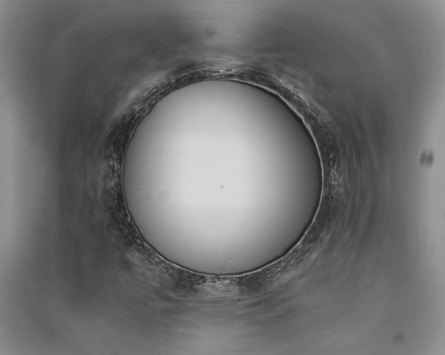 X0000091521447200708171206