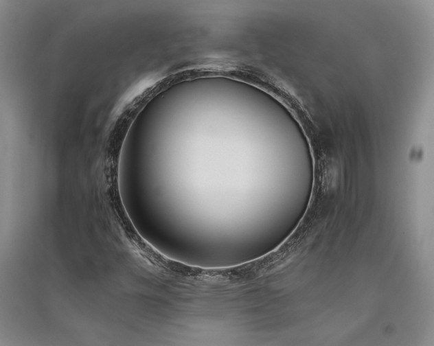X0000091521448200708171206
