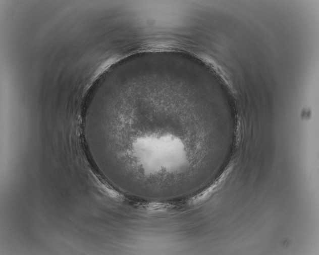X0000091521449200708171206