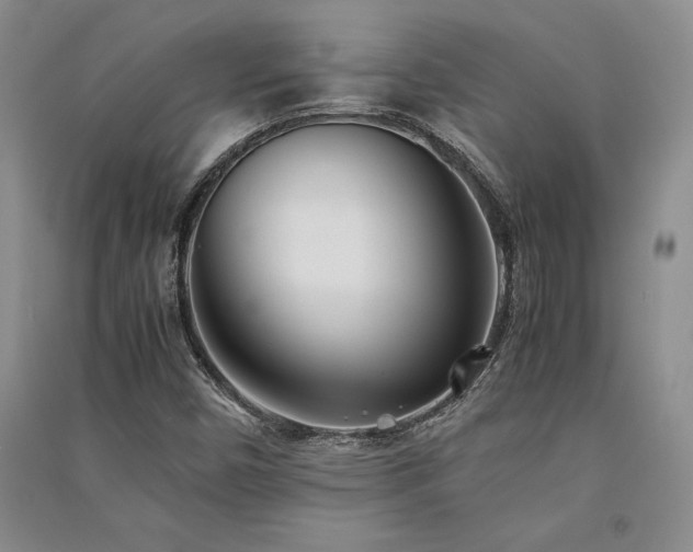 X0000091521450200708171206