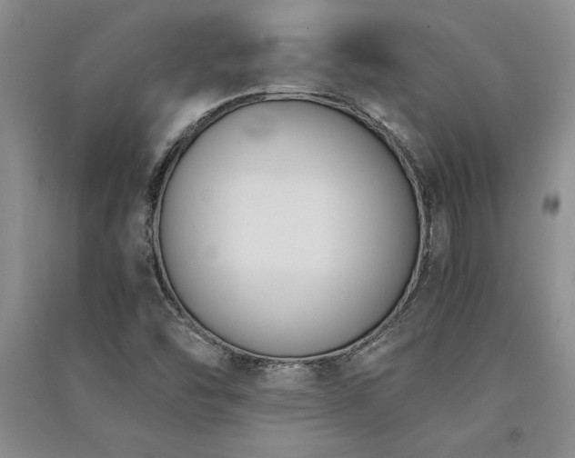 X0000091521454200708171206