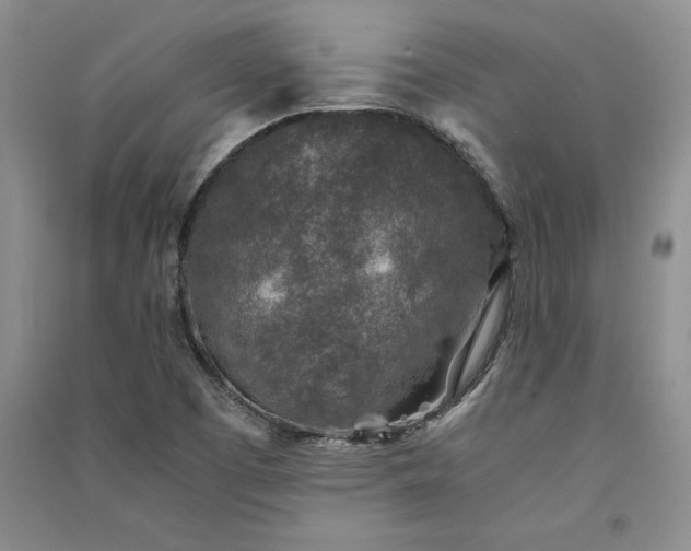 X0000091521457200708171206