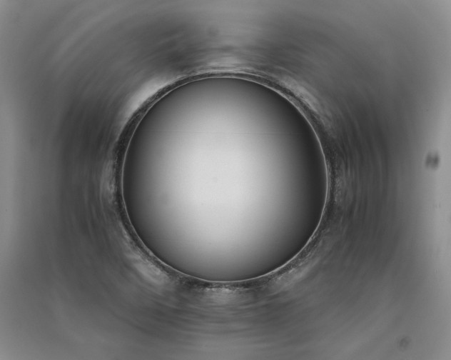 X0000091521458200708171206