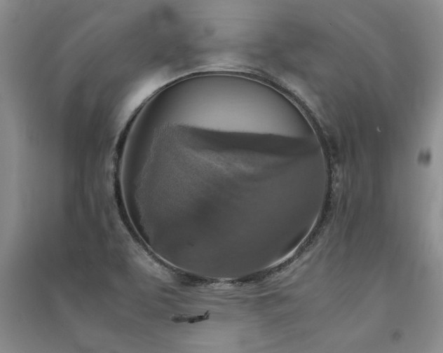 X0000091521463200708171206