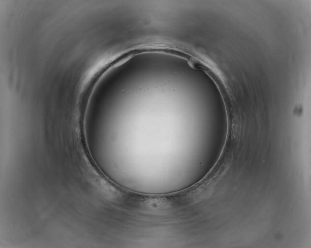 X0000091521464200708171206