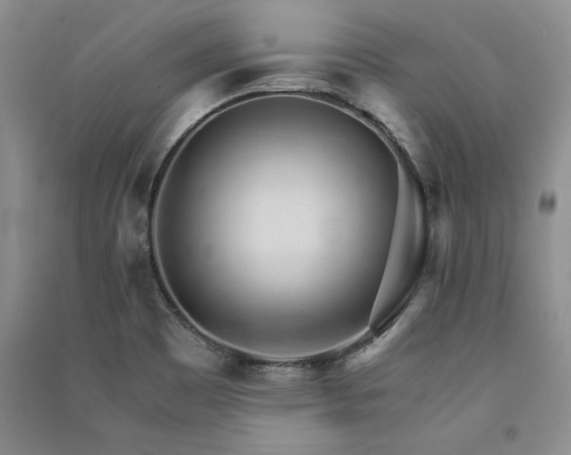 X0000091521465200708171206