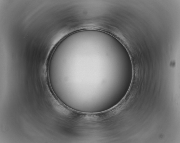 X0000091521466200708171206