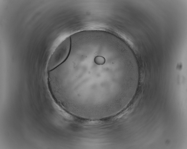 X0000091521471200708171206