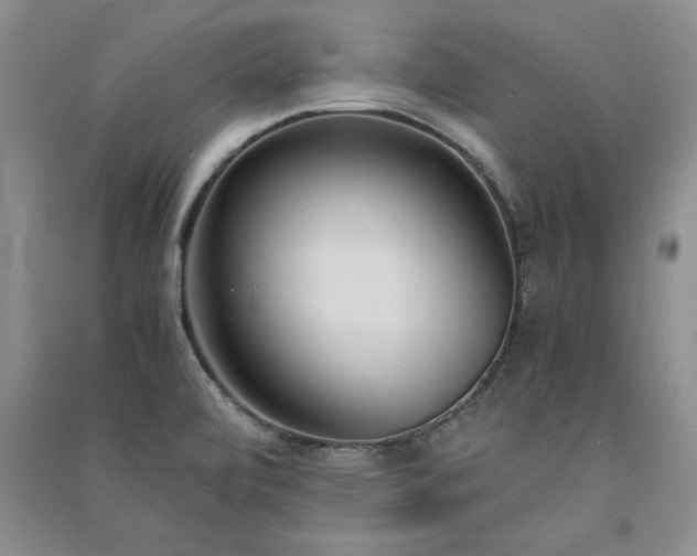 X0000091521472200708171206