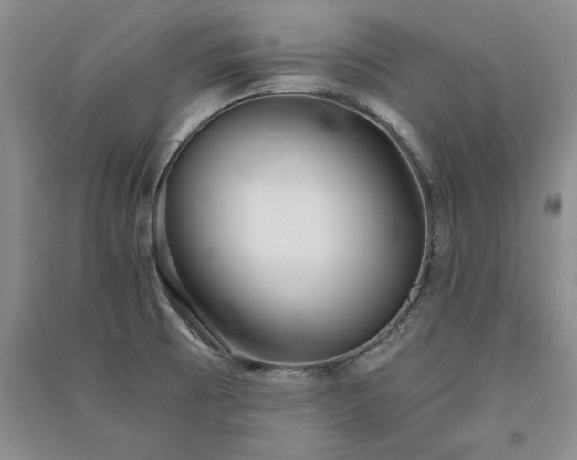 X0000091521473200708171206